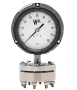 Large Diaphragm Seals