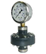 Plastic Diaphragm Seals